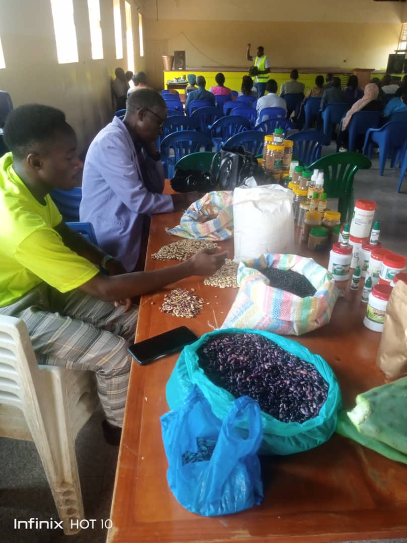 WhatsApp Image 2024-06-07 at 16.47.59_dcf9b63b